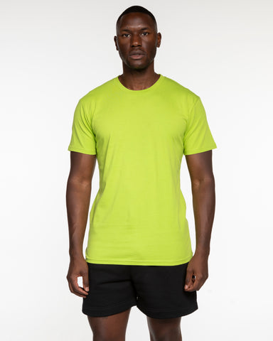 The Mens Tee - Kiwi